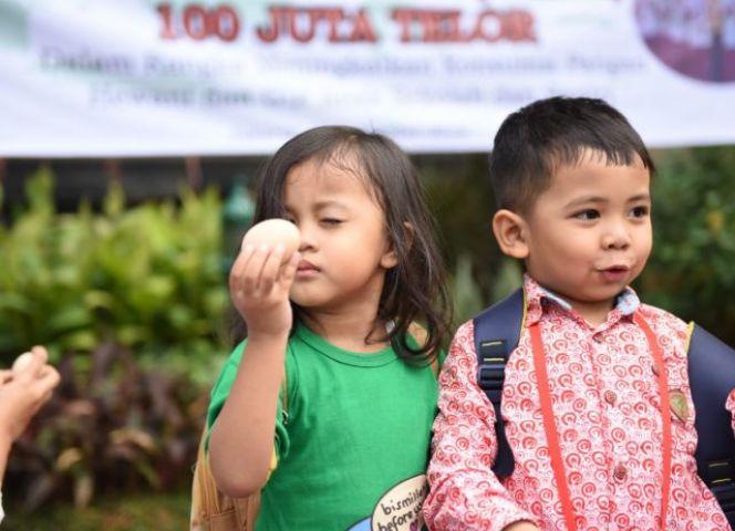 Pemerintah Canangkan Gema 100 Juta Telur